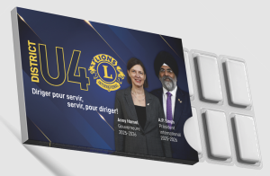 Paquet de gommes pour Lion Anny